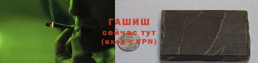 стаф Богородск