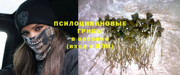 гидра Ростов