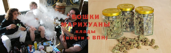 стаф Богородск