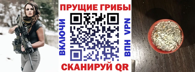 Галлюциногенные грибы мухоморы  где купить наркоту  Чишмы 